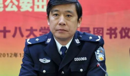 公安局长任维国电视剧,铁血公安局长传奇