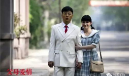 父母爱情电视剧全集,岁月流转中的家庭温情画卷