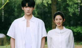 温暖电视剧,温情岁月里的感人故事